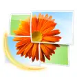 Windows Live Photo Gallery