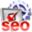 SEO Spider Queen