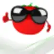 Tomato Time