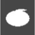 Tomato tick  8