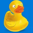 Cyberduck  10