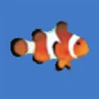 Clownfish for Skype  10