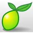 LimeSurvey