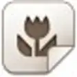 Compare Excel Files