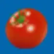 Pomodoro Focus