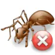 Pest Control Service