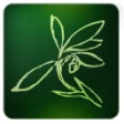 Blumind Portable