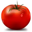 Tomighty