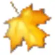 Maple