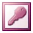 Microsoft Office Access 2010