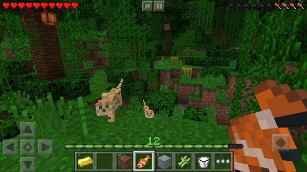 我的世界Minecraft1.2.13.542