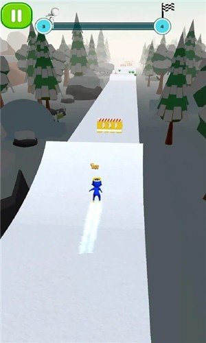 Ski Fun Race 3D0