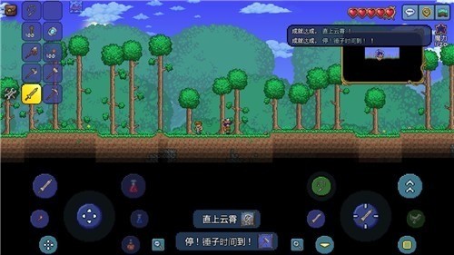 泰拉瑞亚1.4.4全物品存档版2