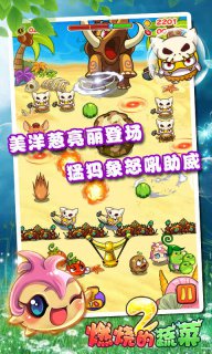 燃烧的蔬菜21