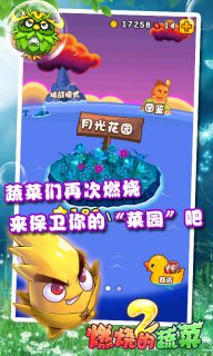 燃烧的蔬菜20