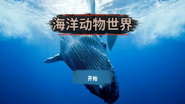 海洋动物世界1