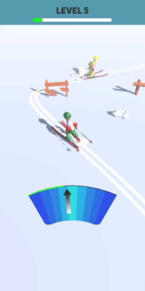 Snow Race 3D0