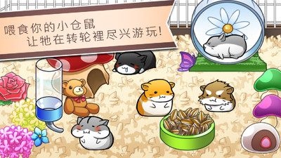 仓鼠的日常Hamster Life3