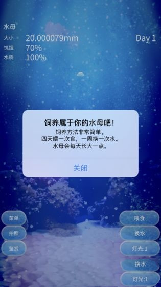 治愈的养成水母游戏汉化版0