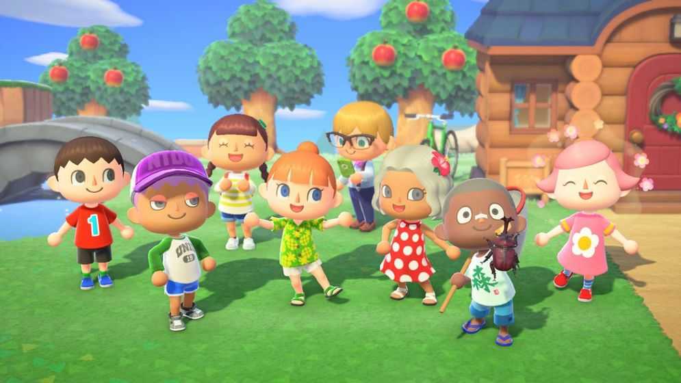 Pocket Camp2