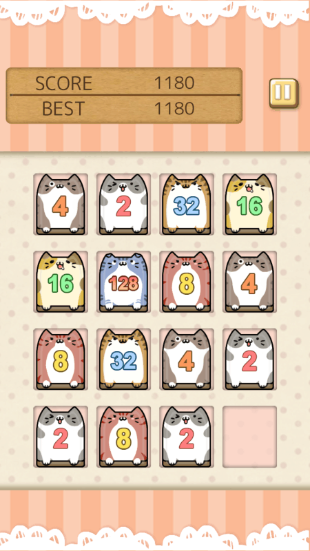 猫咪20481