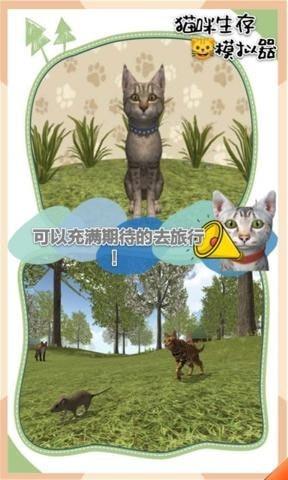 猫咪生存模拟器0