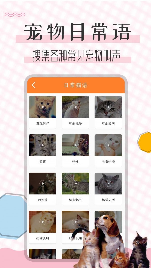 猫语翻译宝2