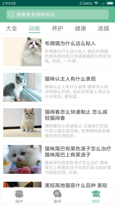 猫咪翻译3