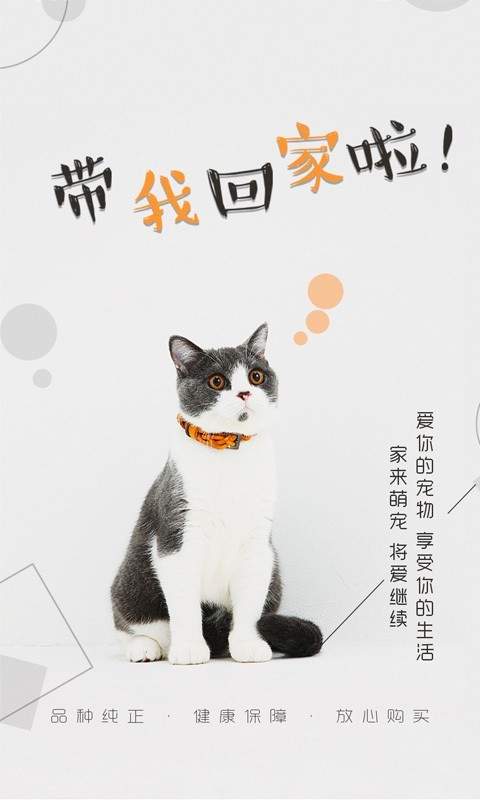 猫行狗市2