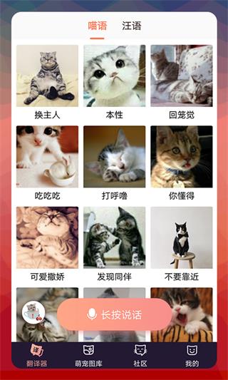 猫语翻译器永久免费版3