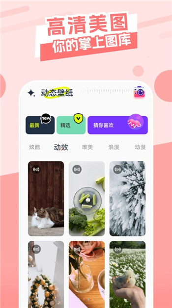 主题库精灵app2