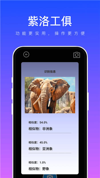 紫洛工俱app1