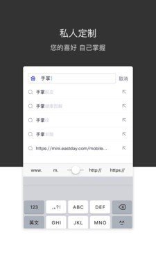 绿叶浏览器1