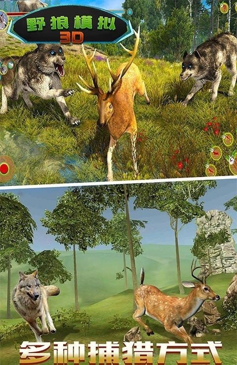 野狼模拟3D2