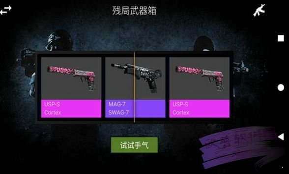 csgo开箱模拟器汉化版2