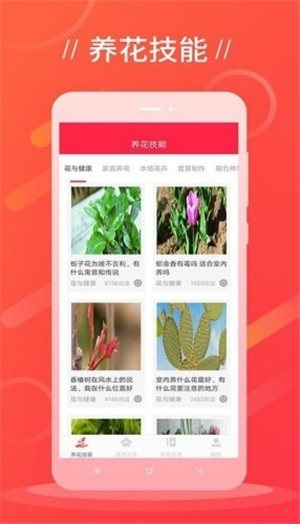 鲜花吧2