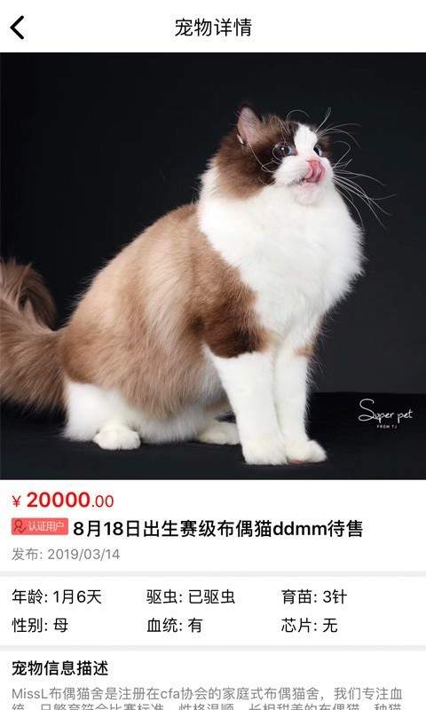 猫行狗市0