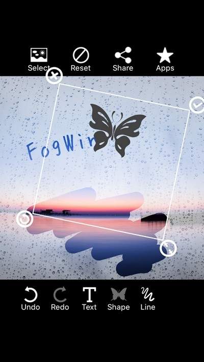 fogwin2