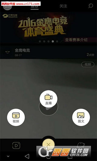 金鹰电竞app