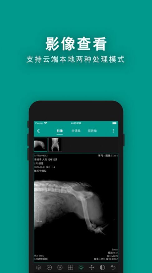 慧龙兽医影像app安卓版1