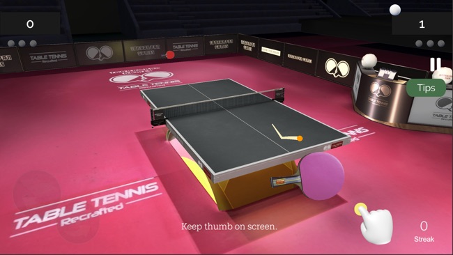 Table Tennis ReCrafted!0