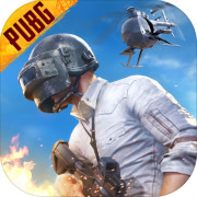 PUBG(绝地求生)