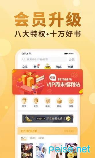 槐糖小说