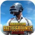 pubg mobile国际服手游