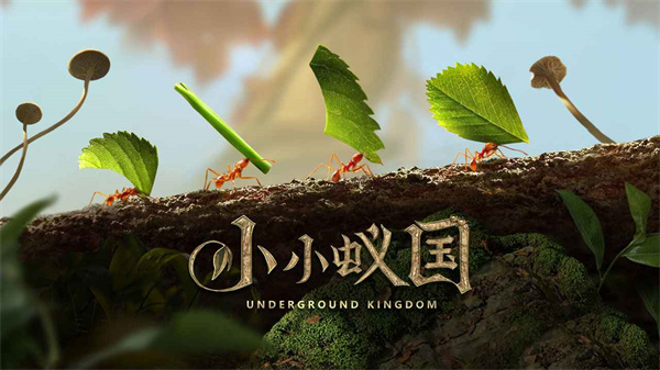 小小蚁国内购免费版