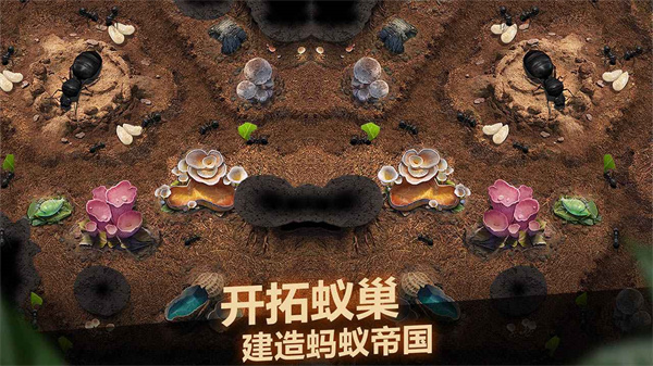 小小蚁国内购免费版