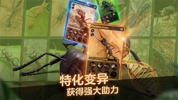 小小蚁国内购免费版
