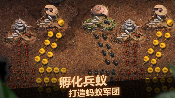 小小蚁国内购免费版
