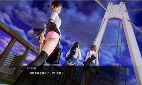 二次元老婆学院0.94a