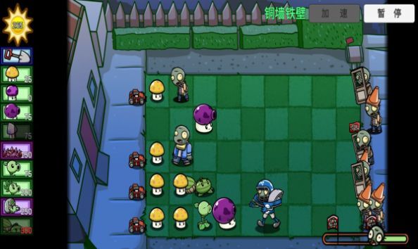 PVZ_BT(大锤菇版)1